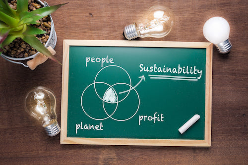 Green Profits – Eco-Friendly Innovations Transforming the Industry